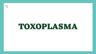 Toxoplasma gondii  Toxoplasmosis  Life Cycle Diagnosis Treatment amp Prevention  MEDZUKHRUF [upl. by Omlesna]