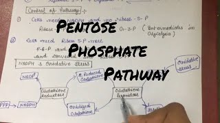 Pentose Phosphate Pathway Hexose Monophosphate Shunt explained in detail [upl. by Okorih692]