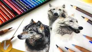 Beginning Colored Pencils Guide [upl. by Elocan]