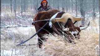 Refitting the Ox Yoke [upl. by Ehman835]