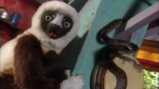 Zoboomafoo Cap 44 quotSerpientesquot [upl. by Yerag]