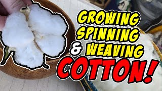 Growing Spinning and Weaving Cotton [upl. by Pyotr]