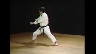 Tekki Nidan  Shotokan SKIF  Hirokazu Kanazawa [upl. by Adine]