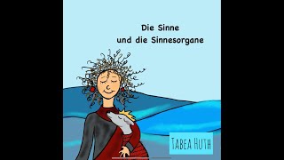 Die Sinne und die Sinnesorgane [upl. by Haela]