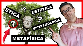 ðŸŒ³ Las RAMAS DE LA FILOSOFIÌA â–º 193 Disciplinas FASCINANTESðŸ˜Ž [upl. by Esdnyl545]