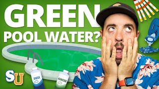 How to Get Rid of POOL ALGAE Green Water [upl. by Mccully951]