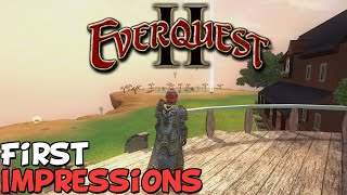 EverQuest 25 Year Event FIPPY FEST San Diego [upl. by Nahtahoj]