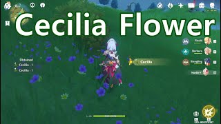 Cecilia Flower Location  Genshin Impact [upl. by Rick]