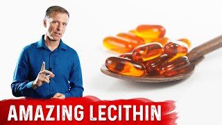 The 11 Benefits of Lecithin [upl. by Hedi]