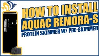 How to Install the AquaC RemoraS Protein Skimmer w PreSkimmer [upl. by Martelle]