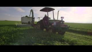 Organic Farming  From Seed to Supplement  Amway [upl. by Kurtz]