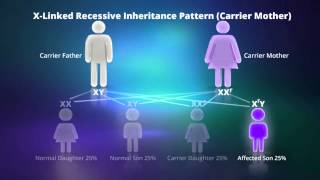 How to Calculate Inheritance Tax  Tax Courses  Osborne Training [upl. by Jervis]