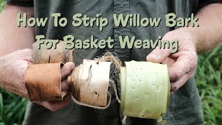 How to strip willow bark for basket weaving [upl. by Nnyltiac]