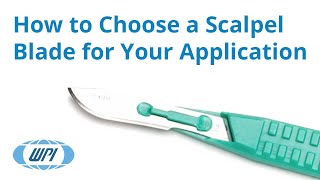 Disposable Knives  How to Choose a Scalpel Blade for Your Application [upl. by Aubrey]