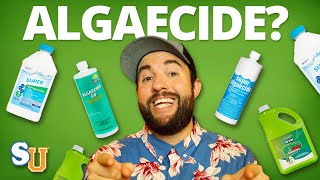 The TRUTH About Using ALGAECIDE In Your POOL [upl. by Josefa]