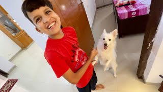 Piyush And Oreo Ki Masti 🤣New Ghar Mein [upl. by Kcuhc]