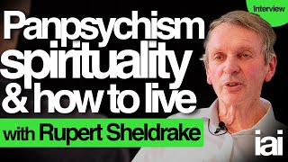 Panpsychism spirituality and consciousness  Rupert Sheldrake [upl. by Dreher482]