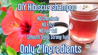 Homemade shampoo ONLY 2 ingredients Get Frizzfree Strong Smooth Silky Long Hair [upl. by Akerue]