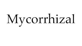 How to Pronounce Mycorrhizal [upl. by Monie]