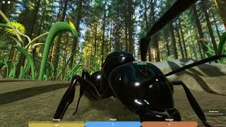 My First time being a Queen Ant in Ant Life Roblox [upl. by Pallas]