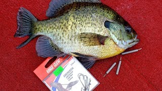 Dropshot Fishing for Panfish Big Bluegills [upl. by Areek881]