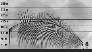 The New Biggest Titan  Attack on Titan Size Comparison [upl. by Okoyik306]