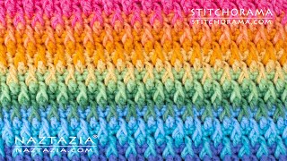 HOW to CROCHET ALPINE STITCH  Stitchorama by Naztazia [upl. by Eical218]