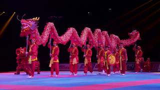 LA DANSE DU DRAGON AU 33EME FESTIVAL DES ARTS MARTIAUX [upl. by Oleg934]