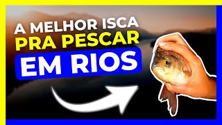 DESCUBRA as 5 MELHORES ISCAS pra PESCAR em RIOS [upl. by Gabriell632]