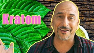 Best kratom for energy and euphoria [upl. by Htrahddis432]