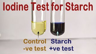 Iodine Test For Starch Practical Experiment [upl. by Corena376]