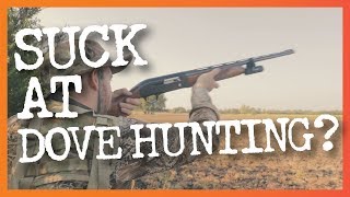 8 Common Dove Hunting Mistakes amp How to Fix Them [upl. by Nnahs857]