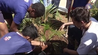 Educação Ambiental nas Escolas [upl. by Enidanreb]