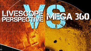 LiveScope Perspective VS Mega 360  Garmin VS Humminbird [upl. by Faux]