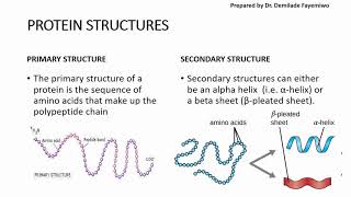 Chapter 23 Biological Molecules  Proteins [upl. by Yttak23]