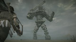 Shadow of the Colossus PS4 Remake  15th Colossus Argus  Part 15 [upl. by Declan]