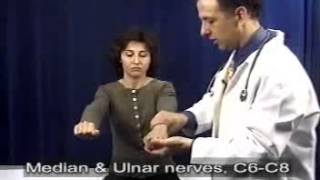 Neurological Physical Examination [upl. by Ellynad]