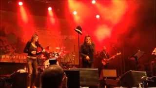 Rachid Taha  Ya Rayah  Live in Vienna 2014 [upl. by Ttreve757]