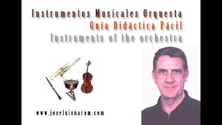 Instrumentos Musicales Orquesta  Guía Didáctica Fácil  Instruments of the orchestra [upl. by Luapnaej]