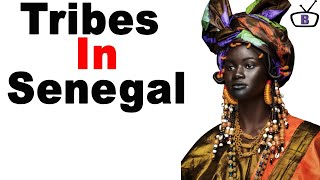 Major ethnic groups in Senegal and their peculiarities [upl. by Arihay]