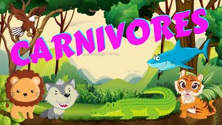 Carnivores  Types of Animals  Science for Kids [upl. by Acyre]