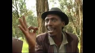 Eritrean comedy suzinino tafla and behabelom Trgum [upl. by Colline799]