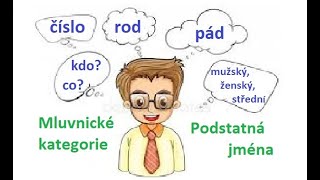 3třída  Podstatná jména  Mluvnické kategorie [upl. by Willyt]