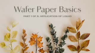 Wafer Paper Flowers Basics for Beginners Part 16 [upl. by Oiromed12]