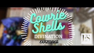 🔮🐚 Cowrie Shells  Divination Explained 🐚🔮✨ [upl. by Ahseyn]