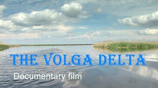 Nature of Russia The Volga Delta [upl. by Atinid405]