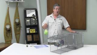 Woodchuck Cage Trapping [upl. by Aloysia]