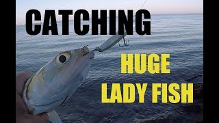 Catching Big Gigantic Lady Fish From Shore on Lures [upl. by Nnaylrebmik]