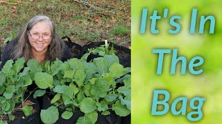 4 Secrets to Growing Vegetables In Grow Bags [upl. by Byrann428]