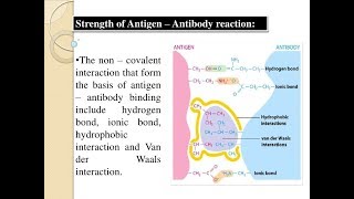 Microbiology of Antibody amp Antigen Interactions [upl. by Maiah]